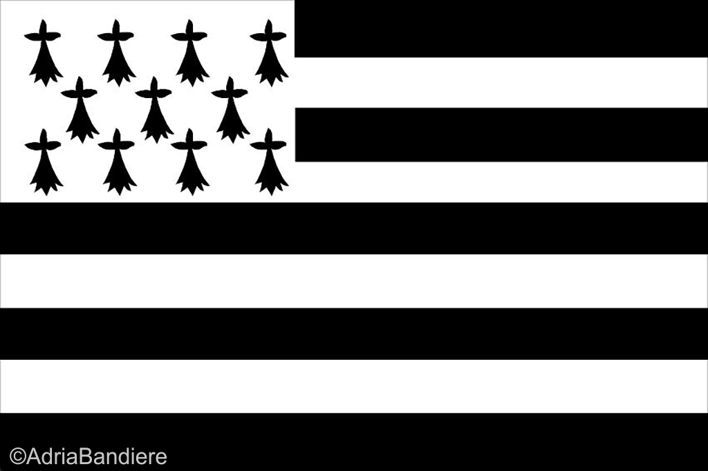 Pavillon. 100x150 Etamine Bretagne (Gwenn ah du)