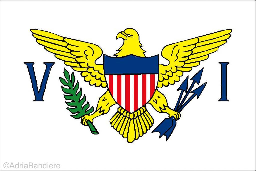 Pavillon. 70x100 Etamine Vierges USA (6)